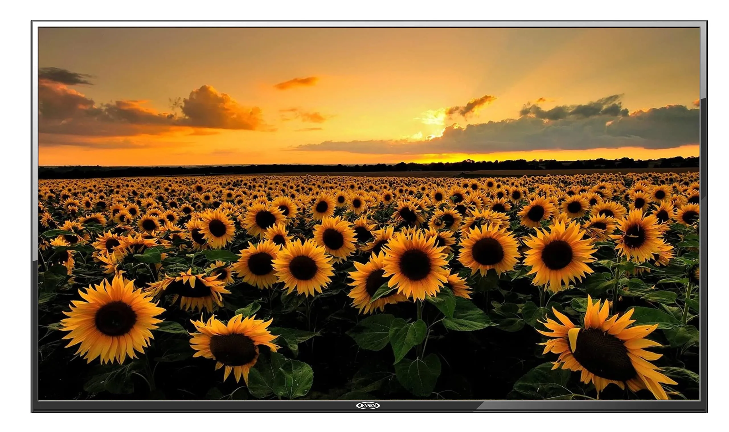 Jensen JE5023 50' LED TFT TV with 1920x1080 Resolution & Integrated ATSC Tuner